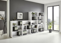 BMG Möbel Regalwand, Office Edition Set 5, Büroschrank/Büromöbel/Regal, in verschiedenen Farben