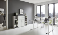 BMG Möbel Büromöbel-Set, e-Office Edition Set 13, Schreibtisch höhenverstellbar, 160 cm, in verschiedenen Farben