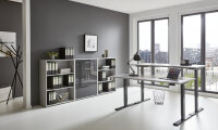 BMG Möbel Büromöbel-Set, e-Office Edition Set 14, Schreibtisch höhenverstellbar, 138 cm, in verschiedenen Farben
