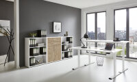 BMG Möbel Büromöbel-Set, e-Office Edition Set 14, Schreibtisch höhenverstellbar, 138 cm, in verschiedenen Farben