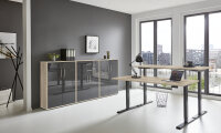 BMG Möbel Büromöbel-Set, e-Office Edition Set 15, Schreibtisch höhenverstellbar, 138 cm, verschiedene Farben
