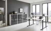 BMG Möbel Büromöbel-Set, e-Office Edition Set 15, Schreibtisch höhenverstellbar, 160 cm, in verschiedenen Farben
