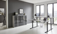 BMG Möbel Büromöbel-Set, e-Office Edition Set 16, Schreibtisch höhenverstellbar, 160 cm, in verschiedene Farben