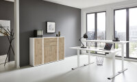 BMG Möbel Büromöbel-Set, e-Office Edition Set 16, Schreibtisch höhenverstellbar, 160 cm, in verschiedene Farben