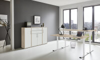 BMG Möbel Büromöbel-Set, e-Office Edition Set 16, Schreibtisch höhenverstellbar, 138 cm, in verschiedenen Farben
