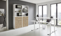 BMG Möbel Büromöbel-Set, e-Office Edition Set 20, Schreibtisch höhenverstellbar, 138 cm, in verschiedenen Farben