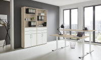 BMG Möbel Büromöbel-Set, e-Office Edition Set 20, Schreibtisch höhenverstellbar, 160 cm, in verschiedenen Farben