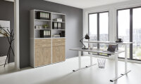 BMG Möbel Büromöbel-Set, e-Office Edition Set 20, Schreibtisch höhenverstellbar, 160 cm, in verschiedenen Farben