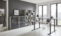 BMG Möbel Büromöbel-Set, e-Office Edition Set 21, Schreibtisch höhenverstellbar, 138 cm, in verschiedenen Farben