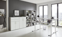 BMG Möbel Büromöbel-Set, e-Office Edition Set 21, Schreibtisch höhenverstellbar, 160 cm, in verschiedenen Farben