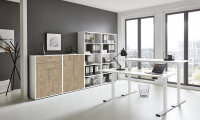 BMG Möbel Büromöbel-Set, e-Office Edition Set 21, Schreibtisch höhenverstellbar, 160 cm, in verschiedenen Farben