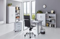 BMG Möbel Büromöbel-Set, Office Edition Mini Set 1, in verschiedenen Farben