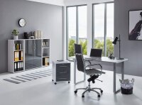 BMG Möbel Büromöbel-Set, Office Edition Mini Set 2, in verschiedenen Farben