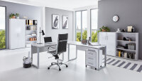 BMG Möbel Homeoffice Büromöbel Komplettset Office Edition Set 1 in verschiedenen Farben