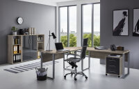 BMG Möbel Homeoffice Büromöbel Komplettset Office Edition Set 2 in verschiedenen Farben