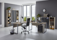 BMG Möbel Homeoffice Büromöbel Komplettset Office Edition Set 5 in verschiedenen Farben