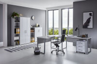 BMG Möbel Homeoffice Büromöbel Komplettset Office Edition Set 4 in verschiedenen Farben