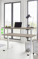 BMG Möbel Elektrisch höhenverstellbares Gestell, eDition, Ohne Tischplatte, Weiß